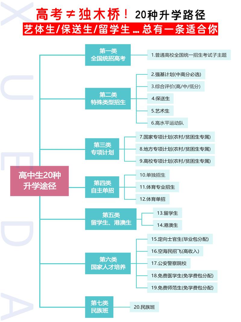 强基计划：教育公平的桥梁